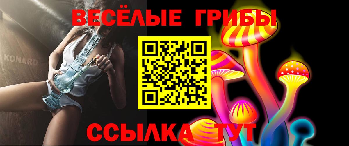 купить закладку  Вход с VPN  Комсомольск-на-Амуре  Псилоцибиновые грибы Psilocybe  Псилоцибиновые грибы MAGIC MUSHROOMS 